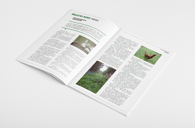 至臻设计 | 华裕农庄内部期刊 原创设计作品集锦