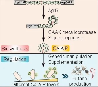 权威认定！大工校友企业荣膺工信部首批“卓越级智能工厂”及“实数融合典型案例”双项荣誉